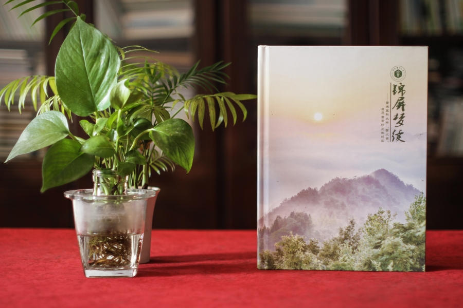 大學畢業(yè)寄語 大學畢業(yè)紀念冊寄語流露同學真情實意